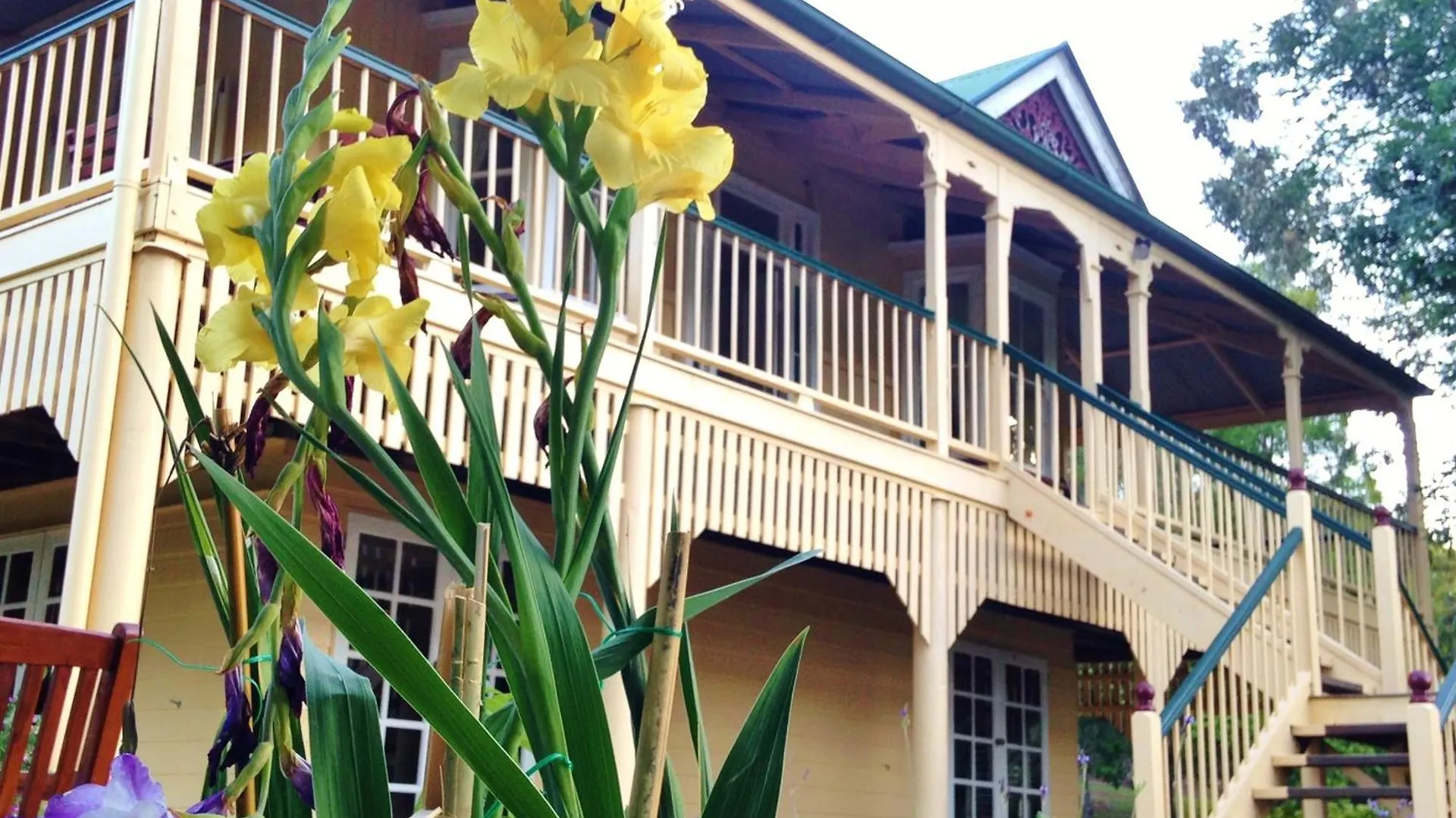Mt Barney Lodge Mount Barney