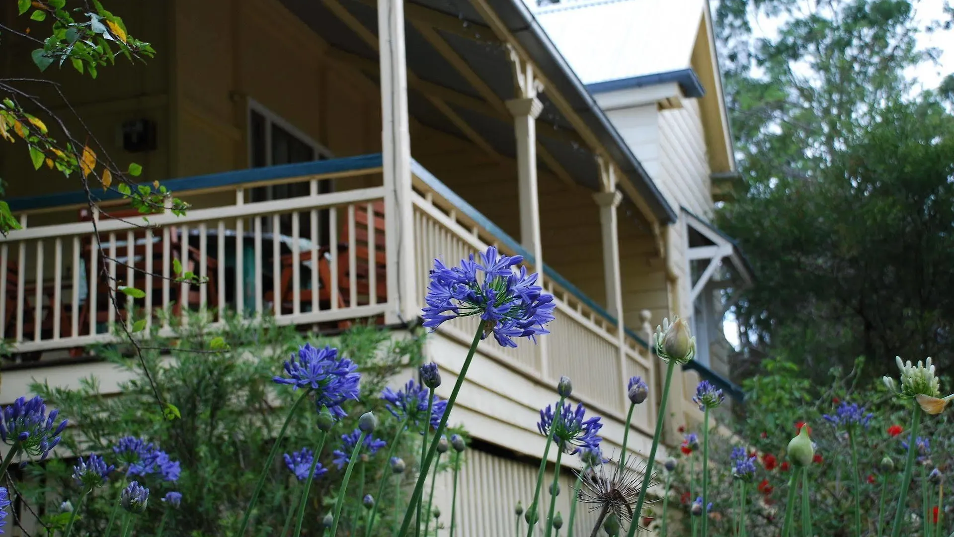 Mt Barney Lodge Mount Barney